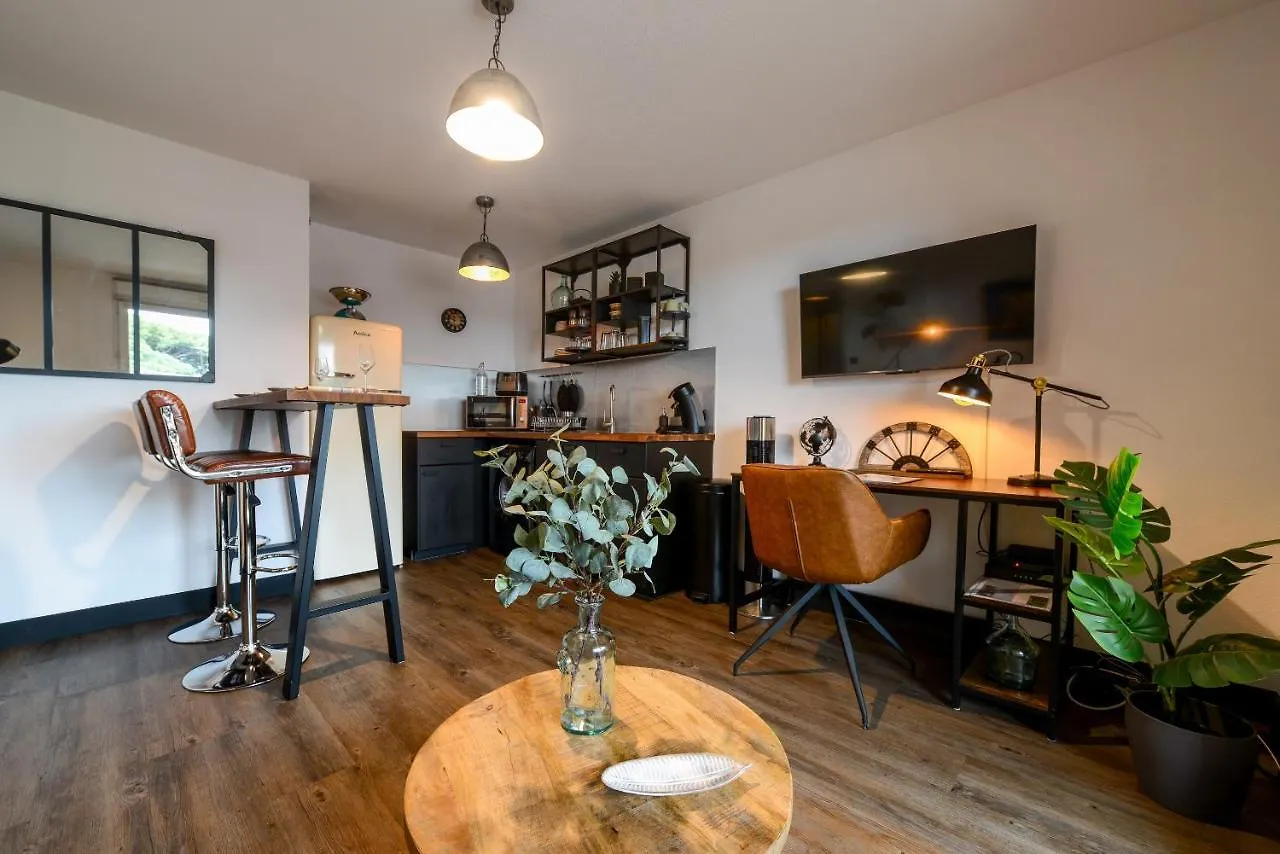 公寓 L'Atelier St James - Appt Avec Chambre Climatisee, Parking Prive Et Piscine 阿尔比